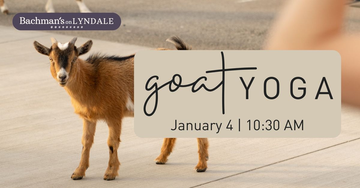 Goat Yoga at Lyndale, January 4 | 10:30 a.m.