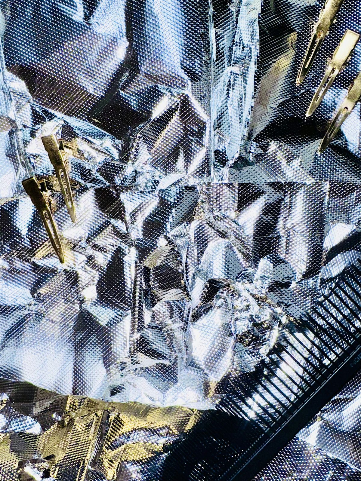 Rachel Elizabeth Color + Extensions Grand Opening Party