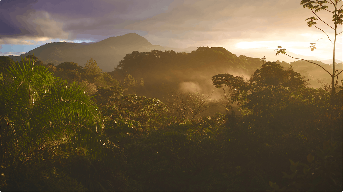 Listening as Connection, Conservation, and Moral Practice