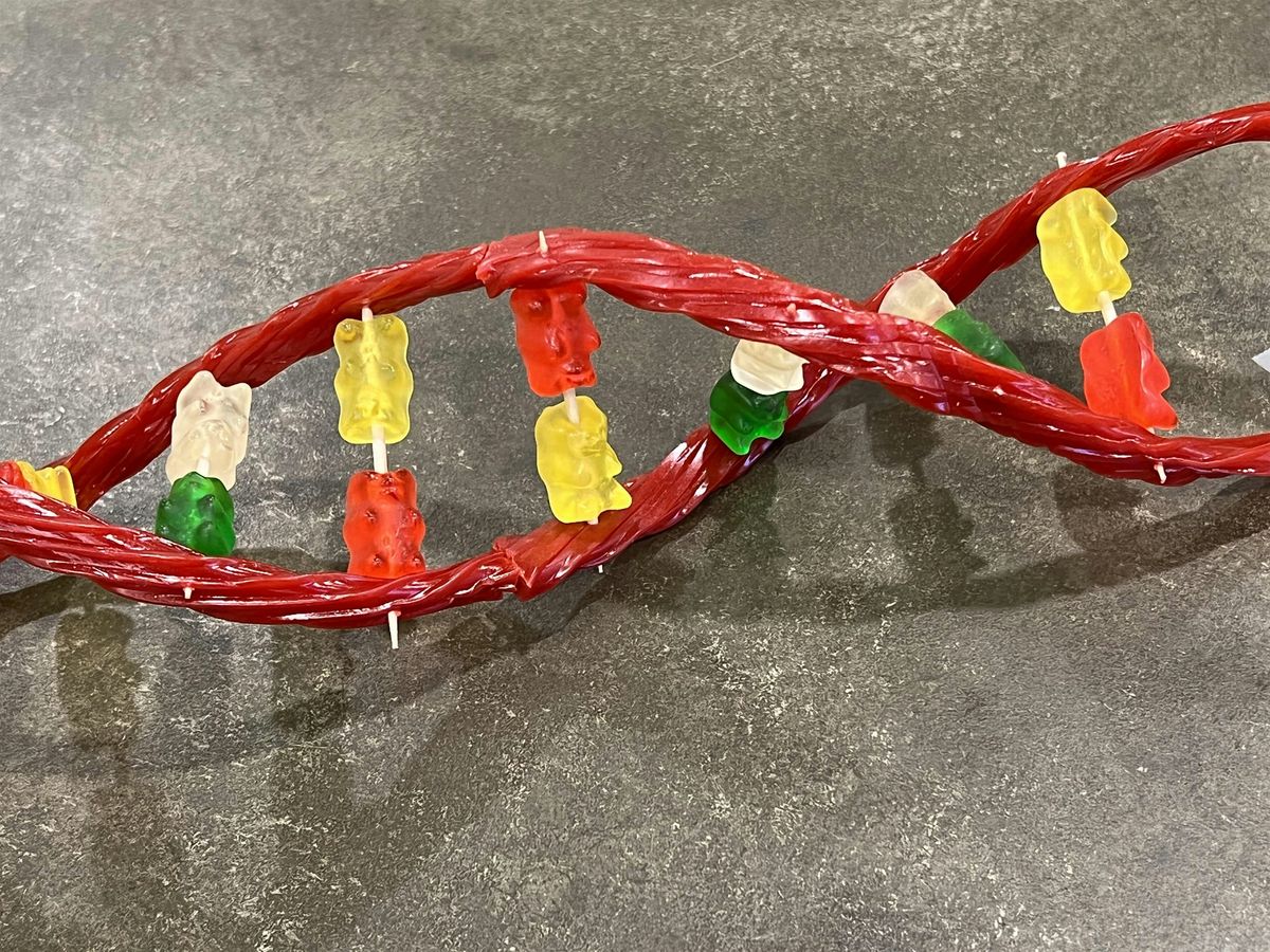 Saturday DNA! NYC - Sweet Genes