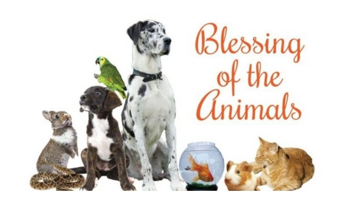 Blessing of the Animals on St. Francis Day