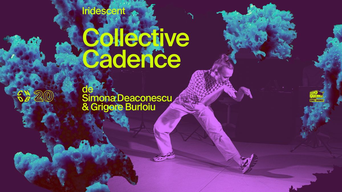 Collective Cadence | Simona Deaconescu & Grigore Burloiu