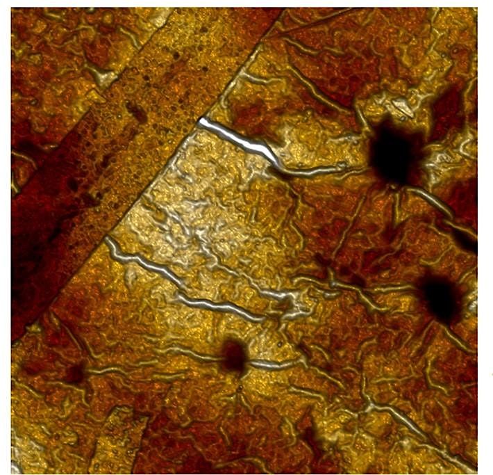 London Centre for Nanotechnology AFM user meeting