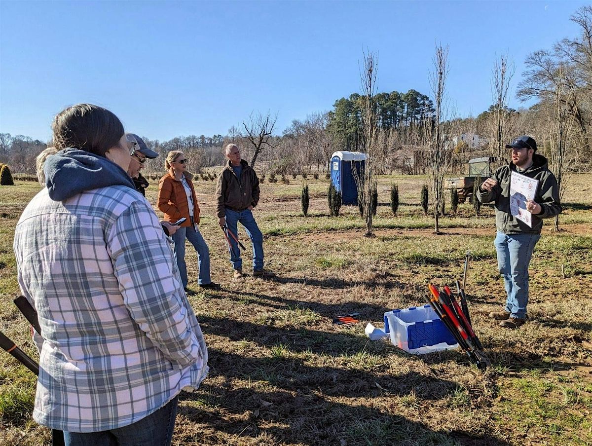 Muscadine Pruning Workshop