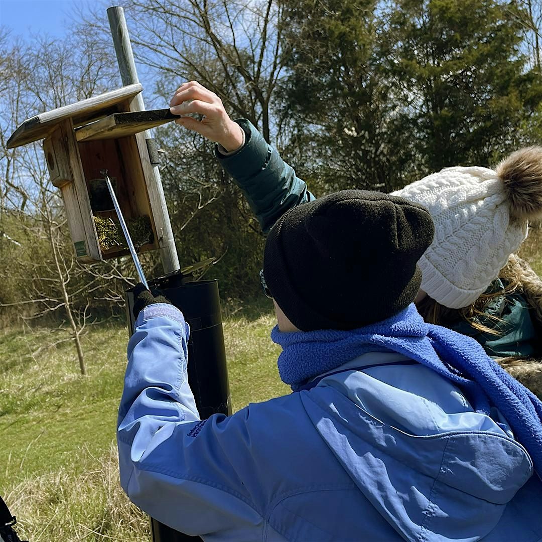 Bluebird Trail Monitor Volunteer Info Session