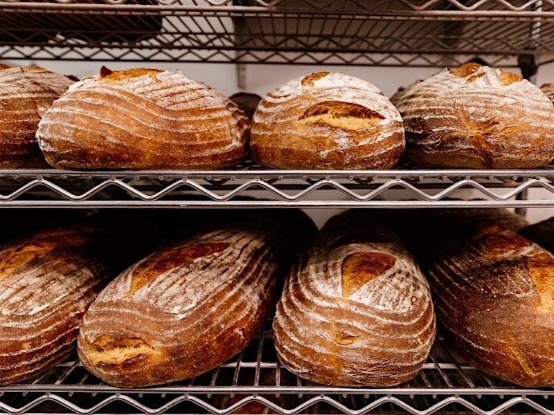 Sourdough Basics