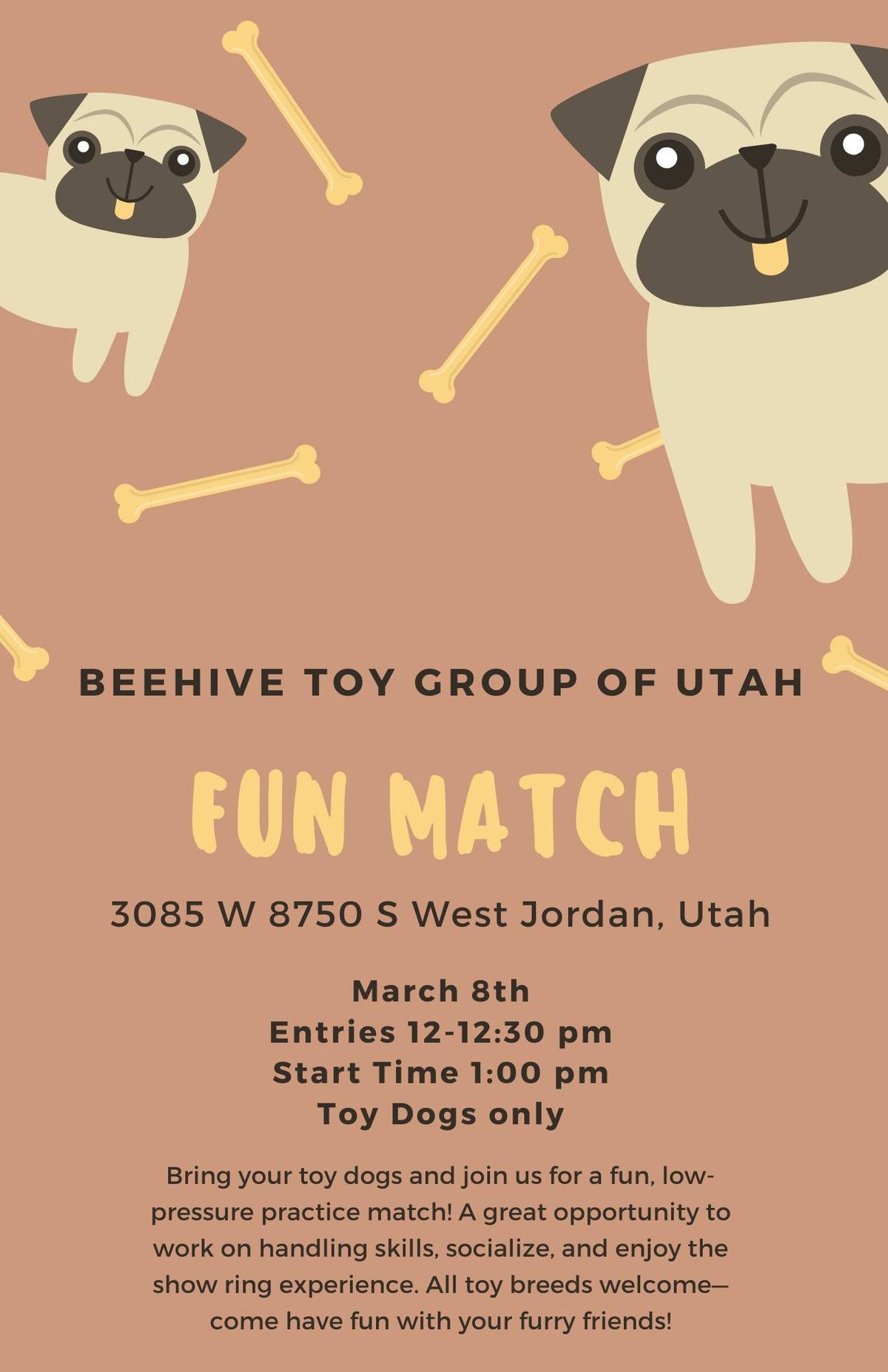 Toy Dog Fun Match 