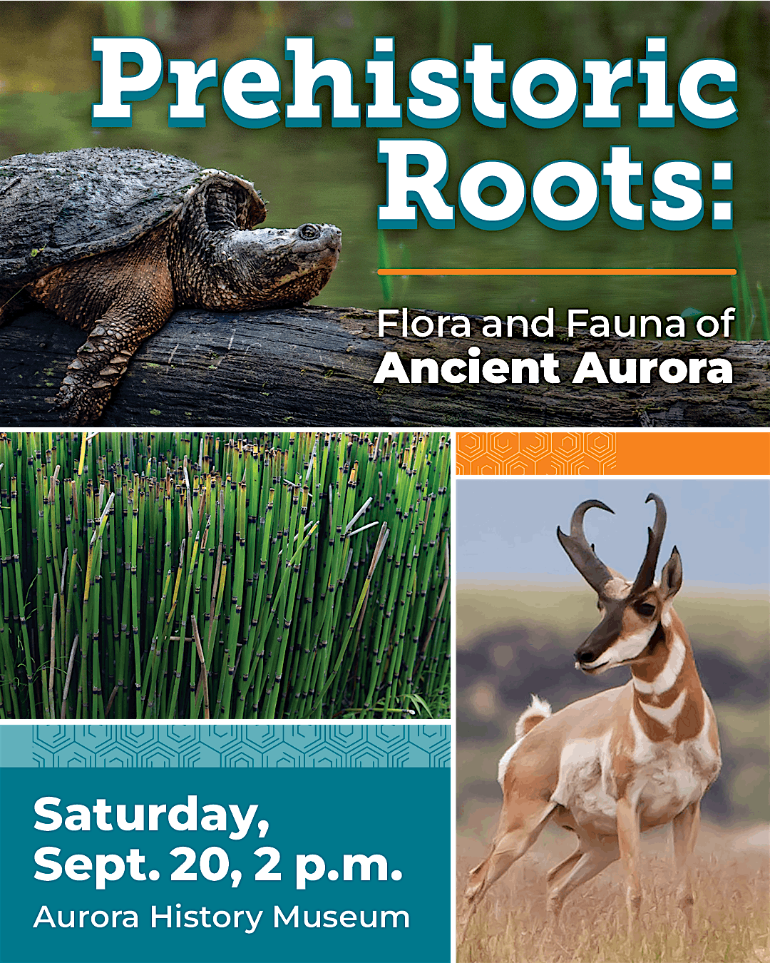 Prehistoric Roots: Flora and Fauna of Ancient Aurora