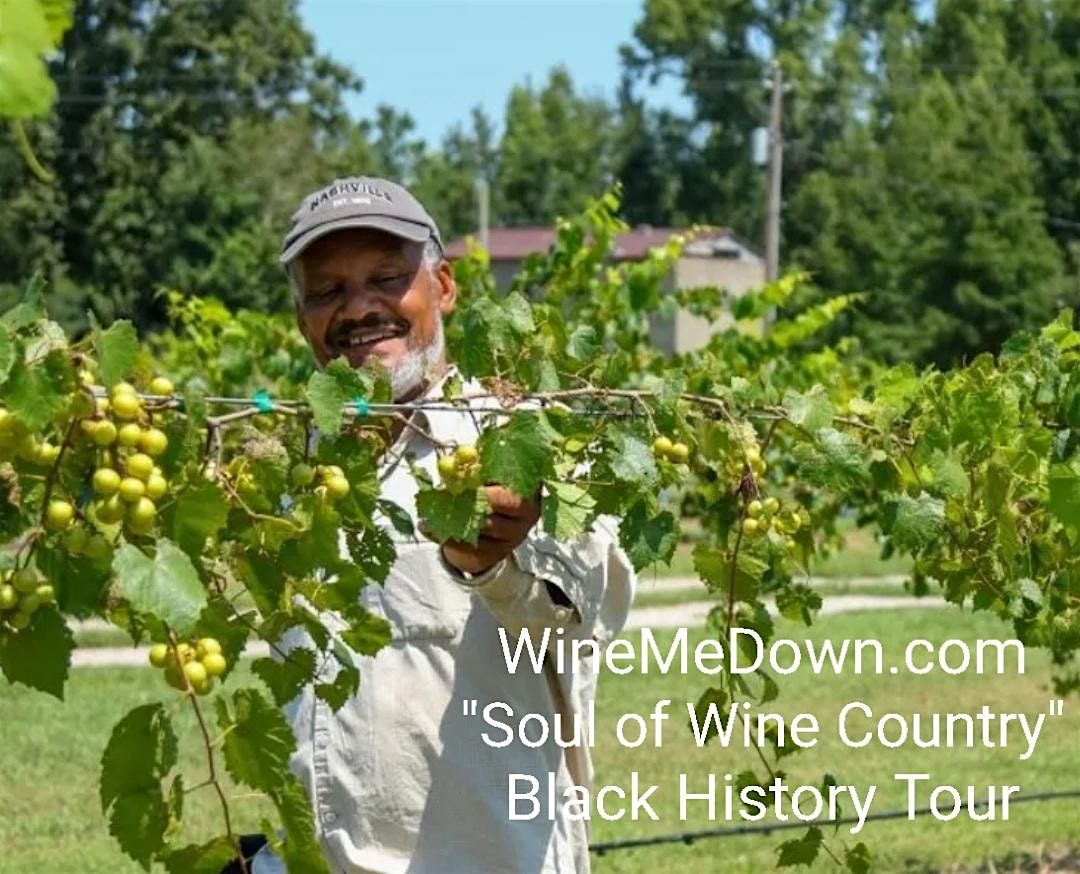 Soul of Wine Country Black Owned Winery Tour