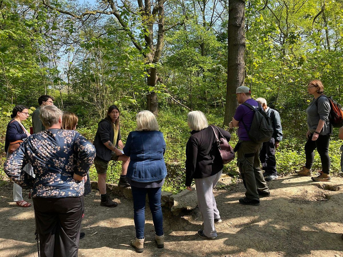 A Botanist's view of Oxleas Woodlands