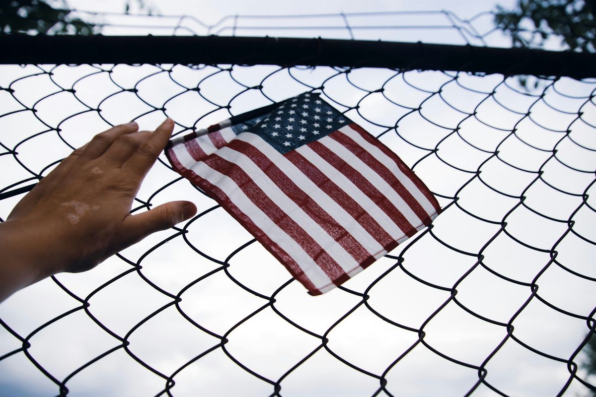 Immigration, Immigrants, and Latinos: One Year Post 2024 Election