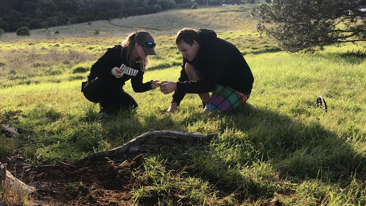Manakau forage adventure!