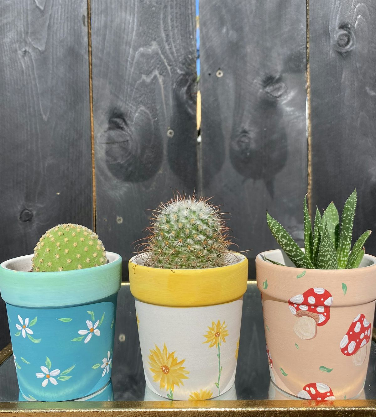 Flower Pot Painting and Planting workshop! Paint 2 pots!