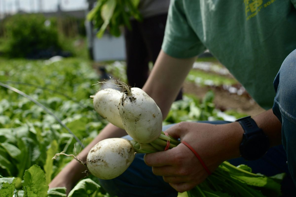 Intro to Gardening: Starting your First Garden