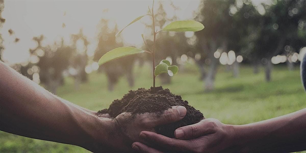 Niagara Parks Community Tree Planting Day 2025