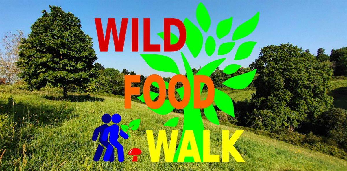 April Hoopern Valley (Exeter University) Wild Food Foraging Walk.