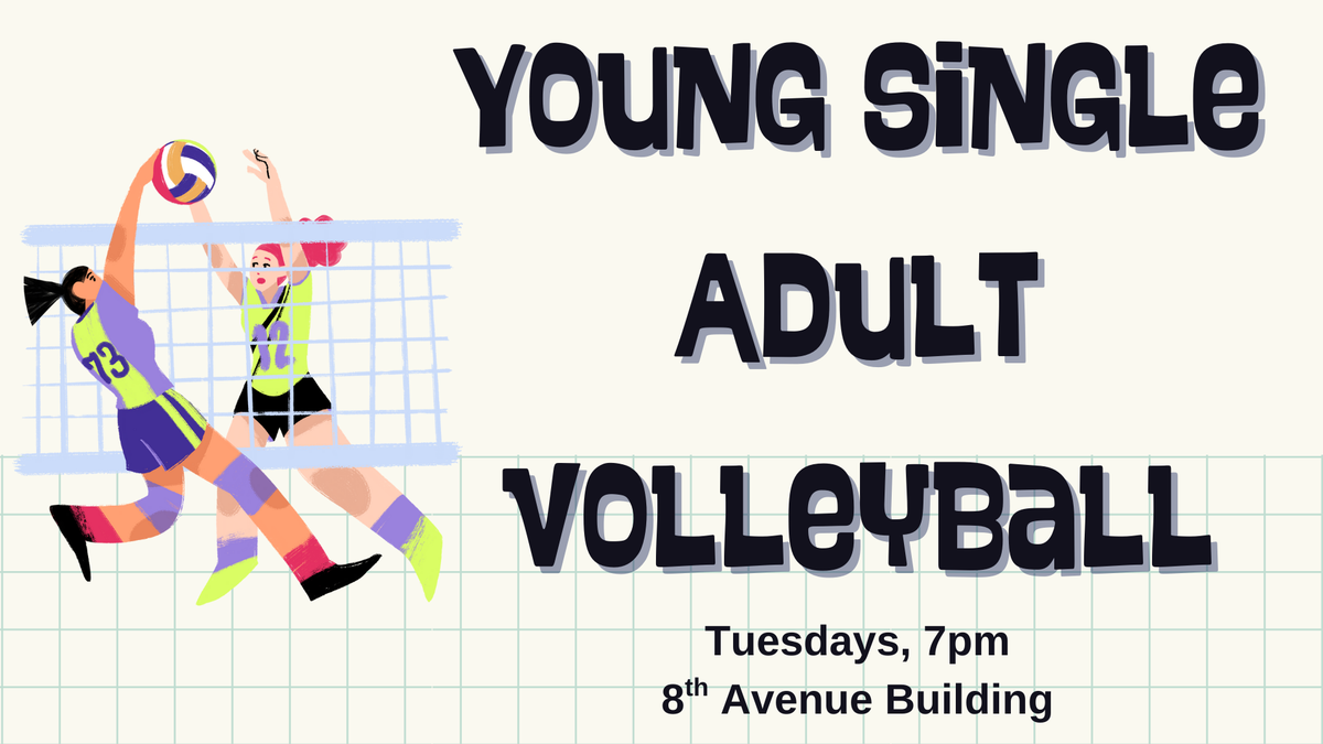 Young Single Adult Volleyball Night with Missionaries