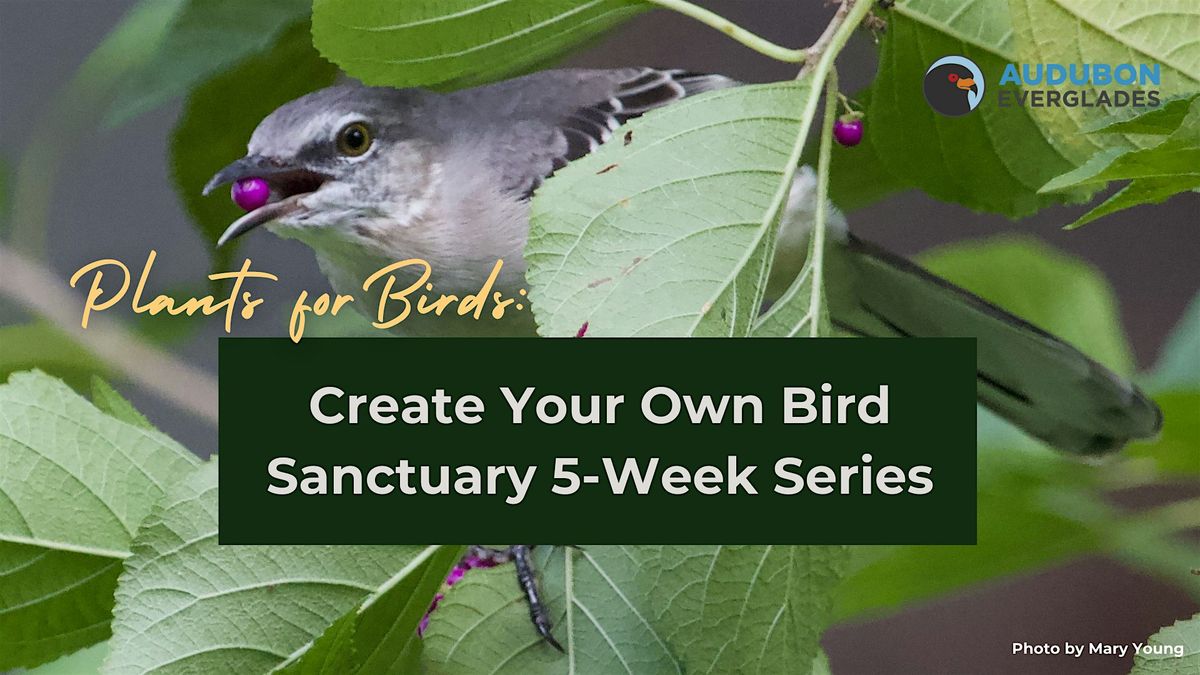 Plants for Birds: Create Your Own Bird Sanctuary Series