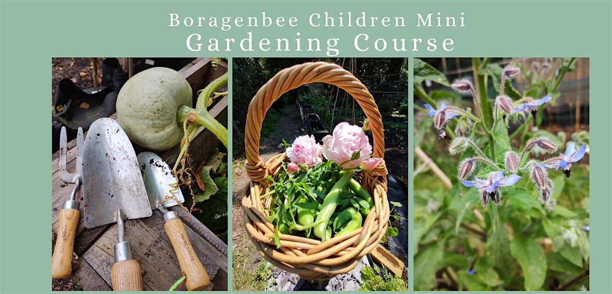 Boragenbee Children Gardening Mini Course