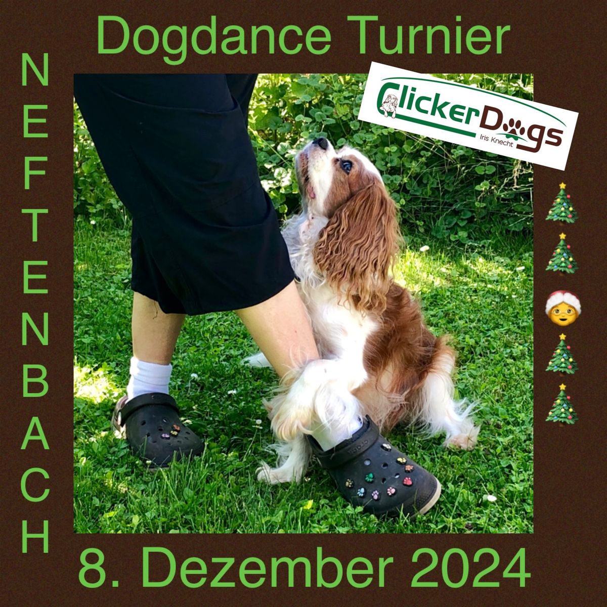 Dogdanceturnier mit Iris & Regula