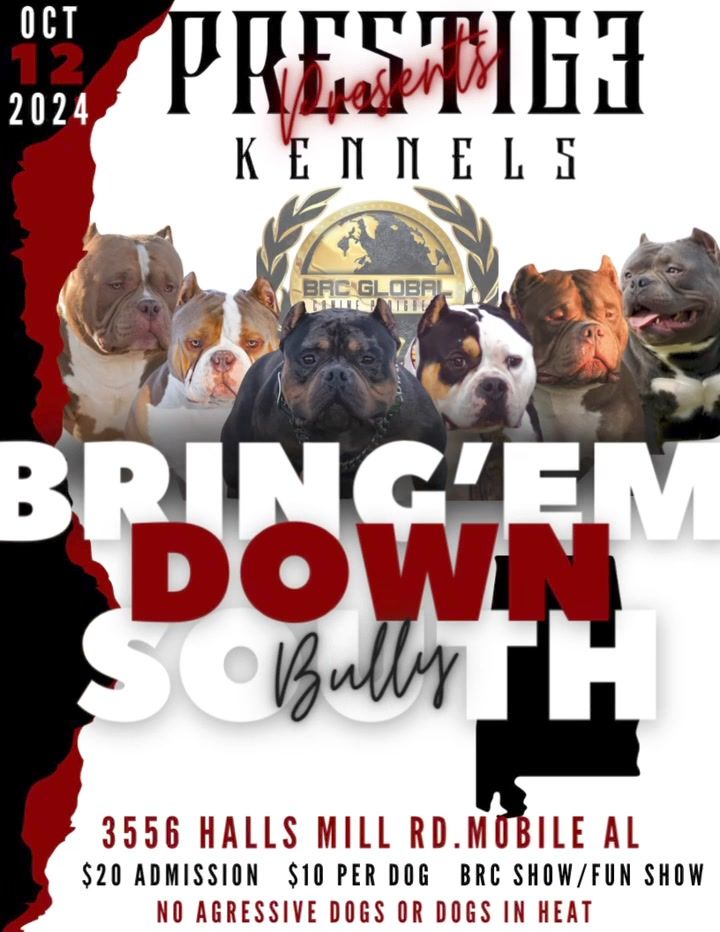 BRING EM DOWN SOUTH BULLY BASH