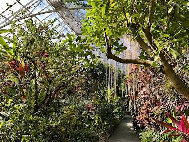 Emerge Spring Exhibition Tour at The Krohn Conservatory with Mark House