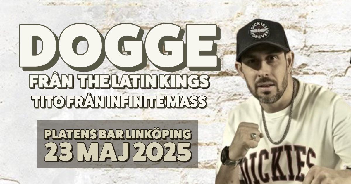 Dogge Doggelito - Platens Bar