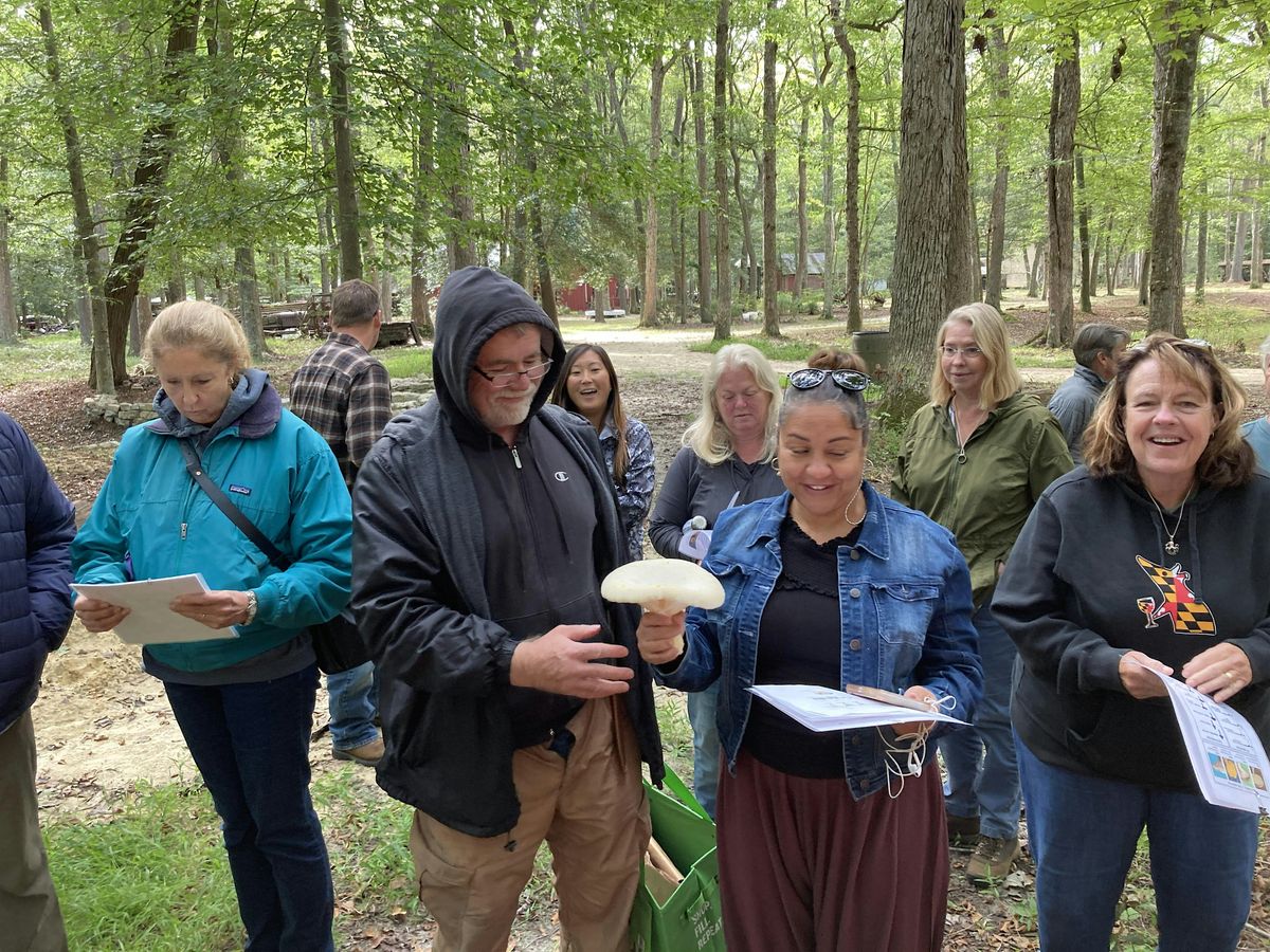 Mushroom 101 and Foraging Class