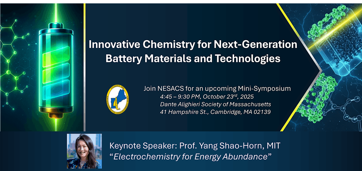 Innovative Chemistry for Next-Generation Battery Materials and Technologies