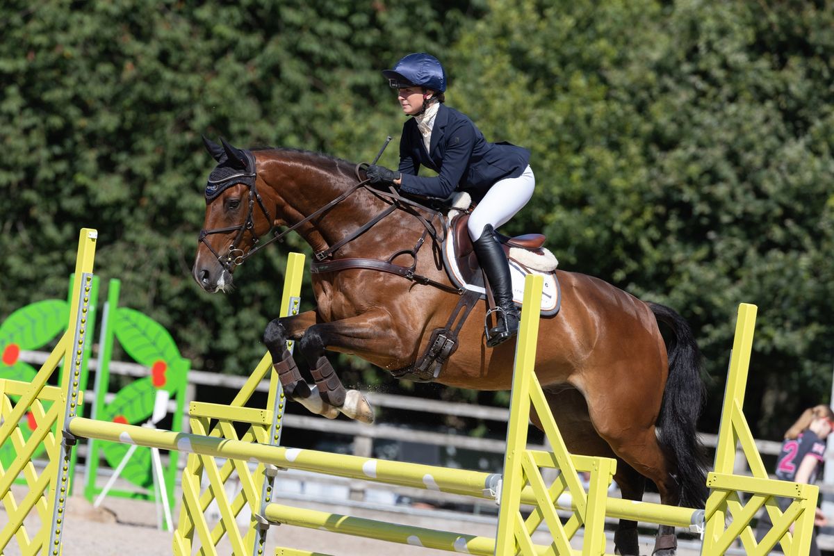 British Show Jumping