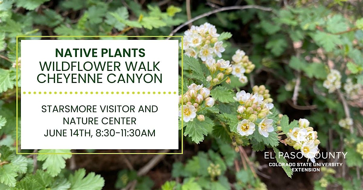 Native Plants: Wildflower Walk Cheyenne Canyon