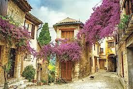 The Wines of Provence and the Southern Rhone Valley