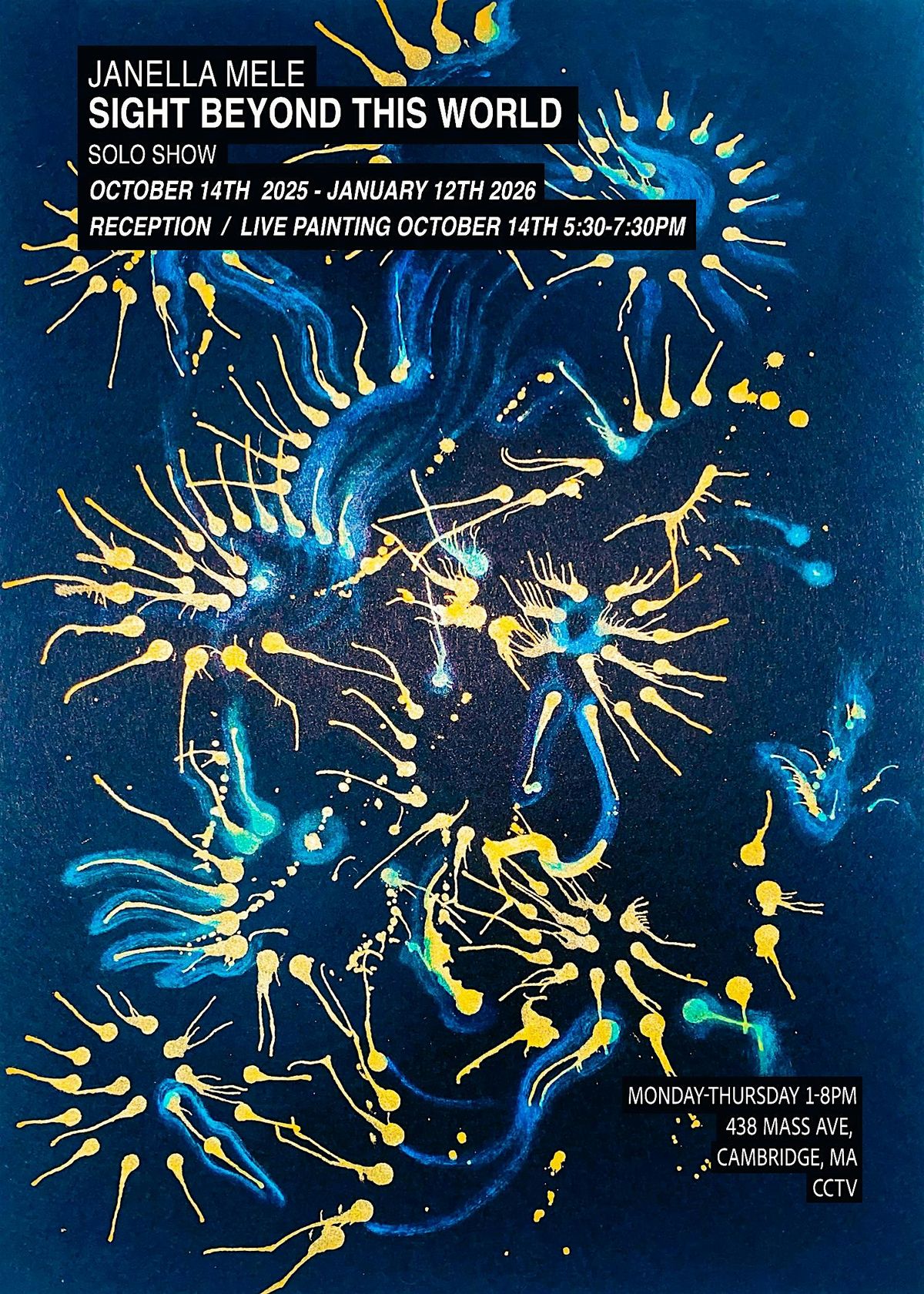 Karen Aqua Gallery Opening - Sight Beyond This World