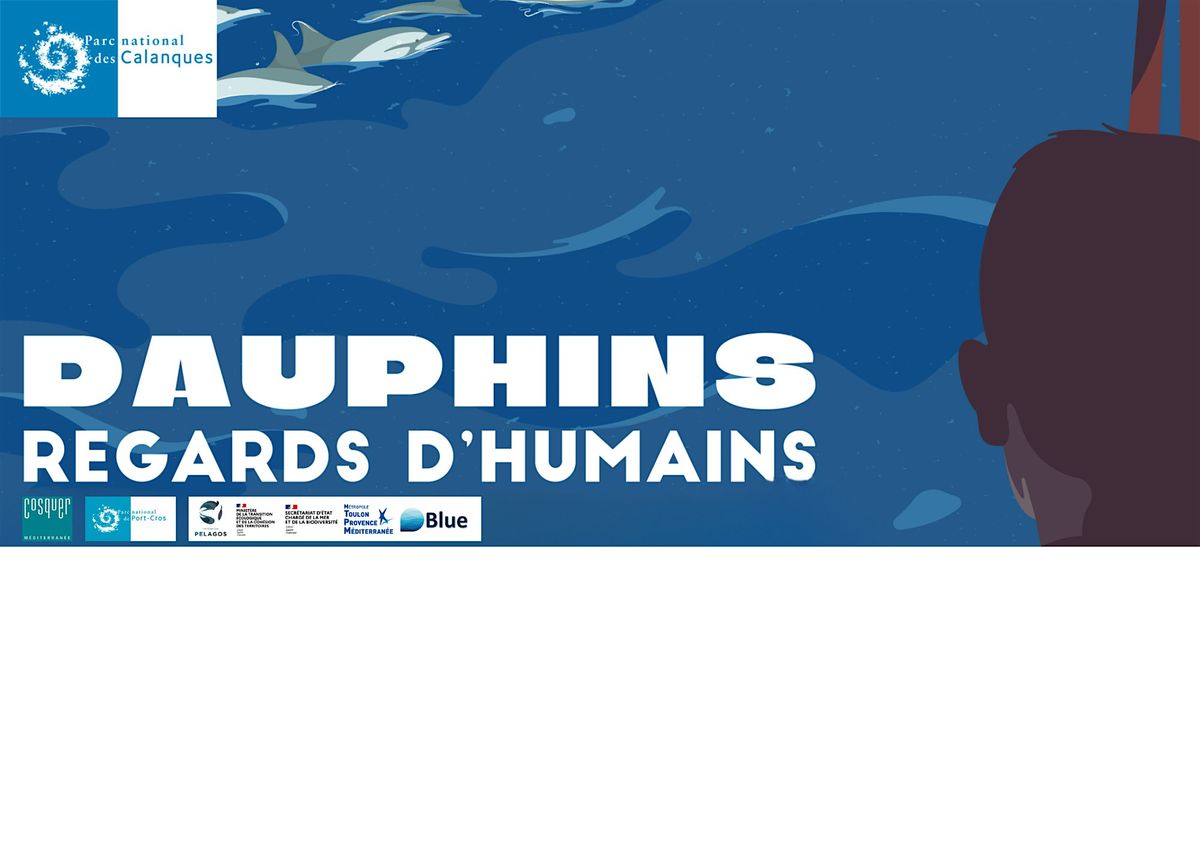 \u00ab Dauphins : regards d\u2019Humains \u00bb : film \u00e0 Cosquer M\u00e9diterran\u00e9e.