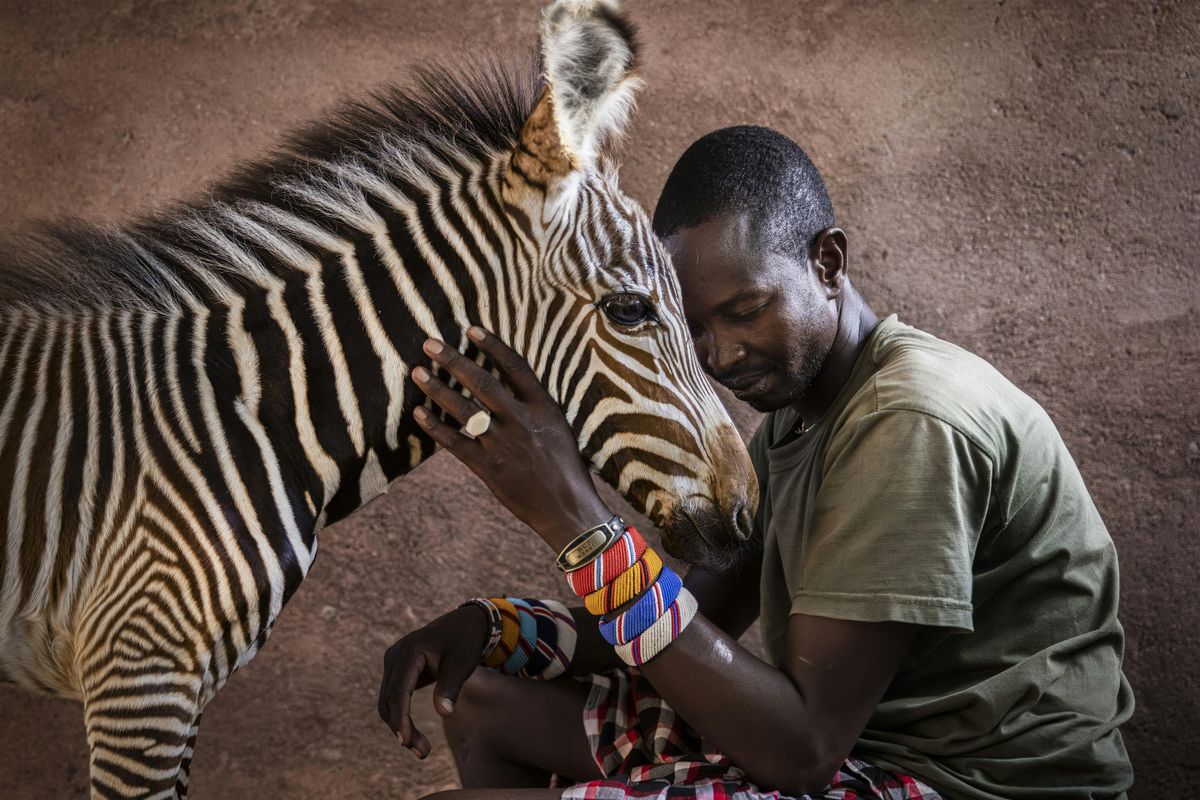 Indigenous Conservation in Kenya