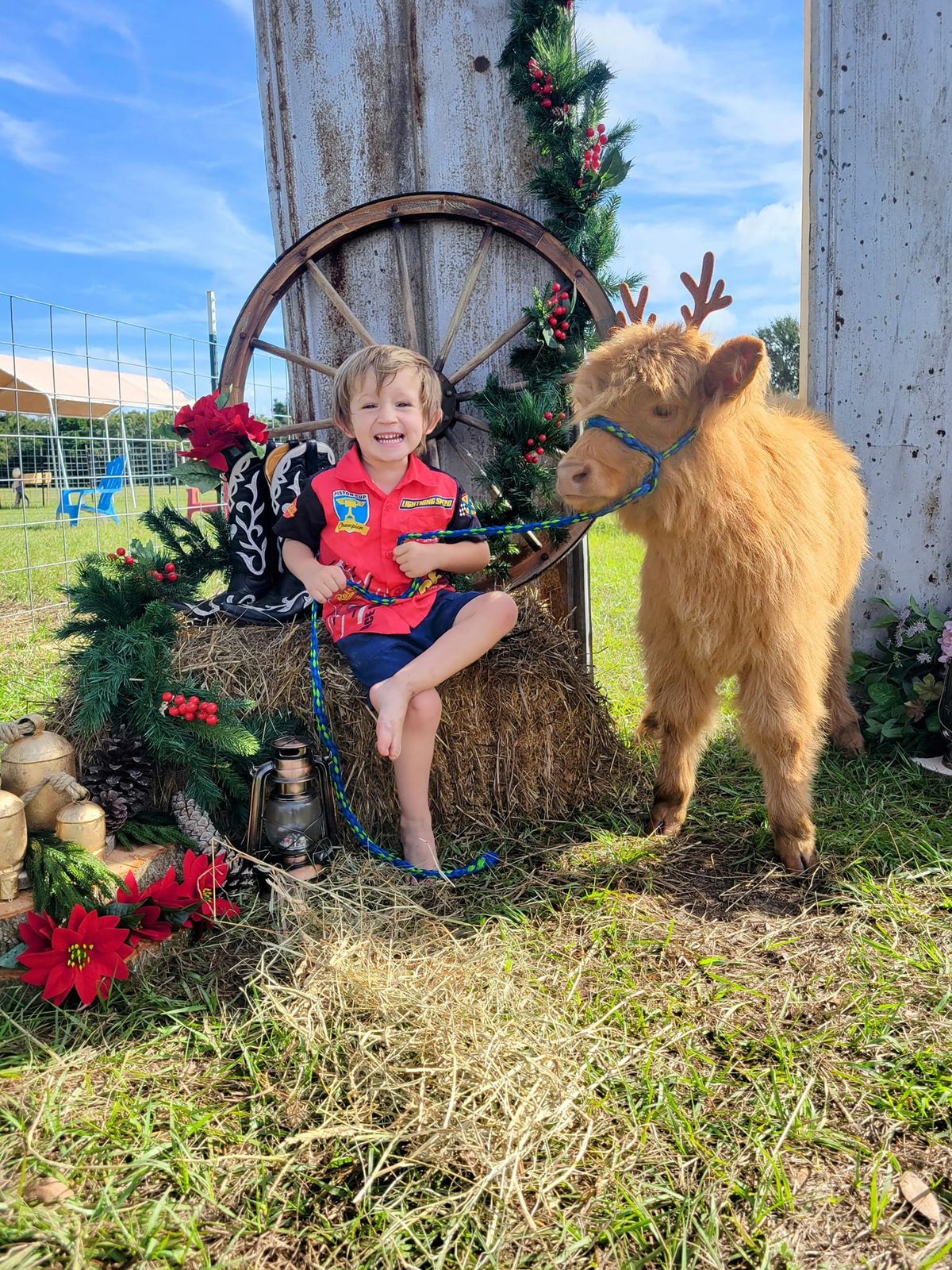 Pop-Up Christmas Day at the Farm!