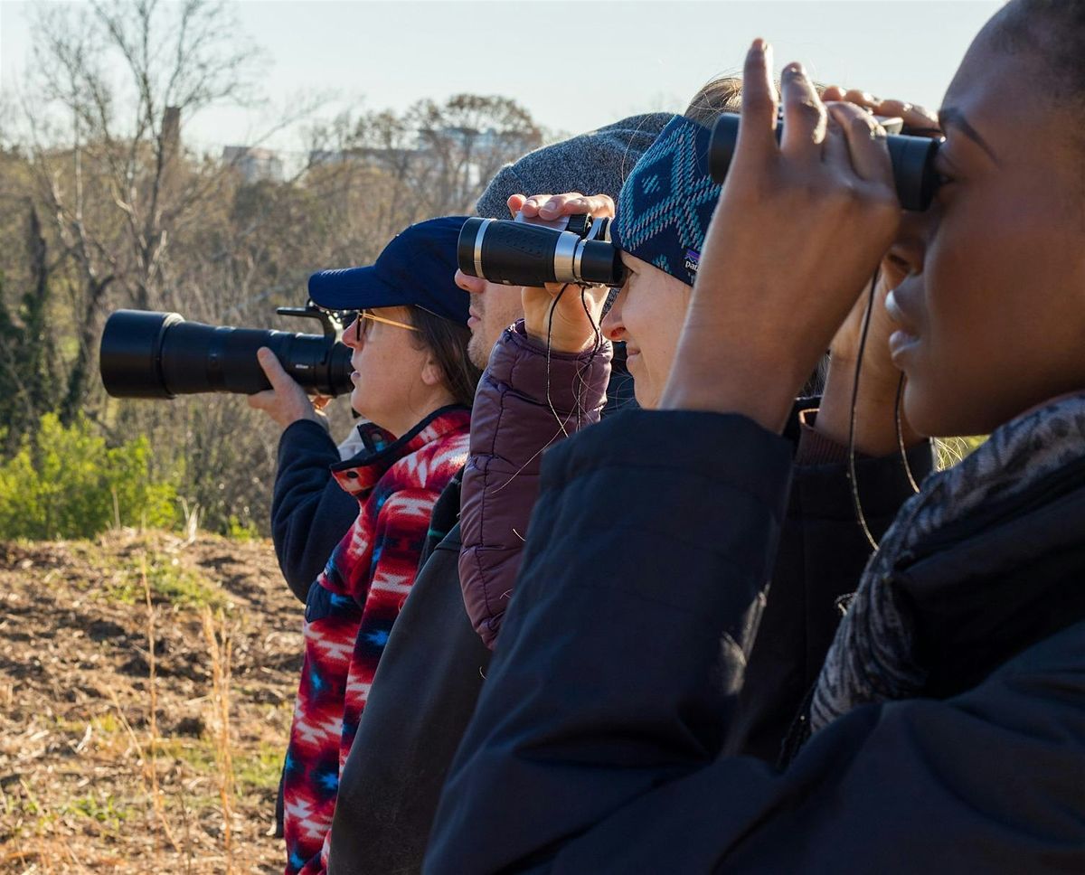 Birdwatching at Dix Park