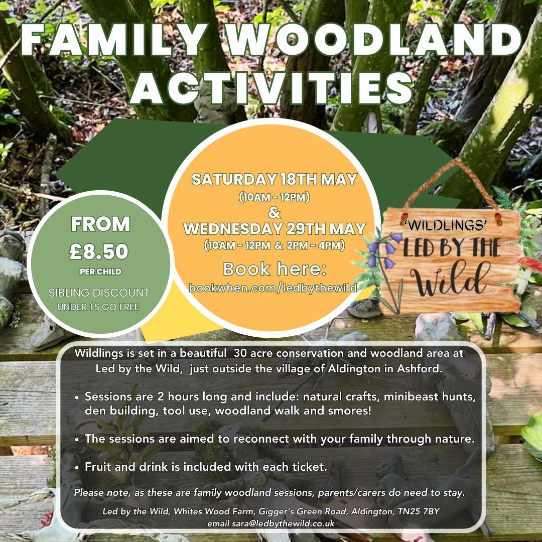 Family Woodland Activities (Ticket only event via bookwhen)