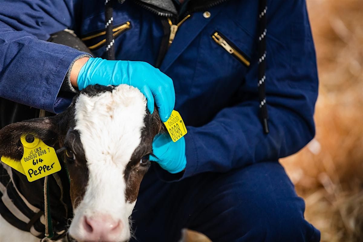 Agriculture Courses Open Day: FE, Fri 13th March: 10am, 12noon, 2pm, & 4pm