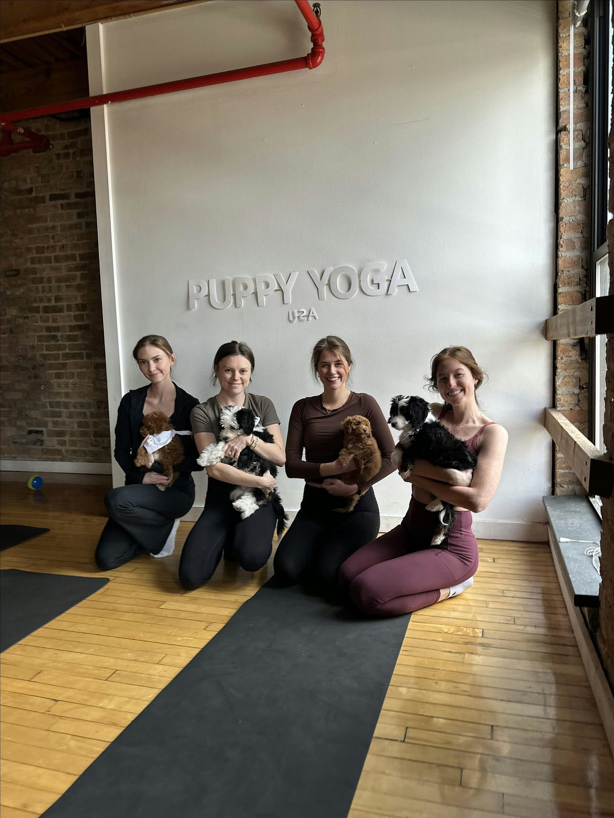 Puppy Yoga Charlotte