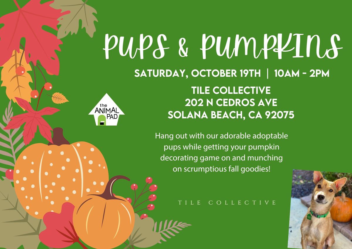 Pups & Pumpkins Adoption Event and Fundraiser