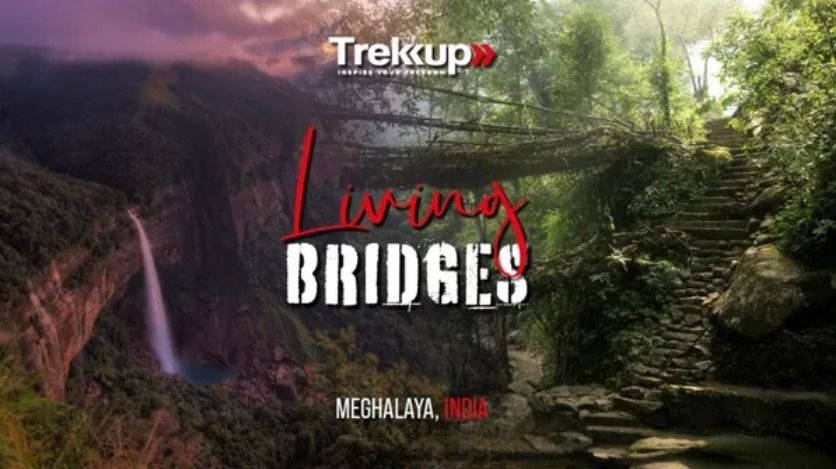 Living Bridges feat. Cherry Blossom Festival | Meghalaya, India