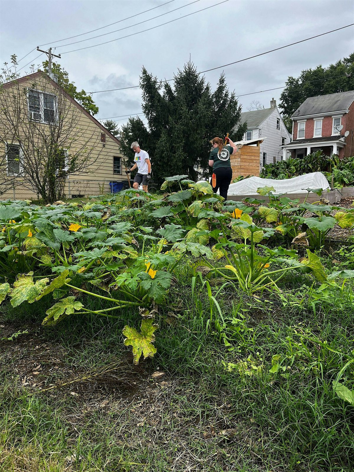 Spring Planting at Walnut Street Community Garden