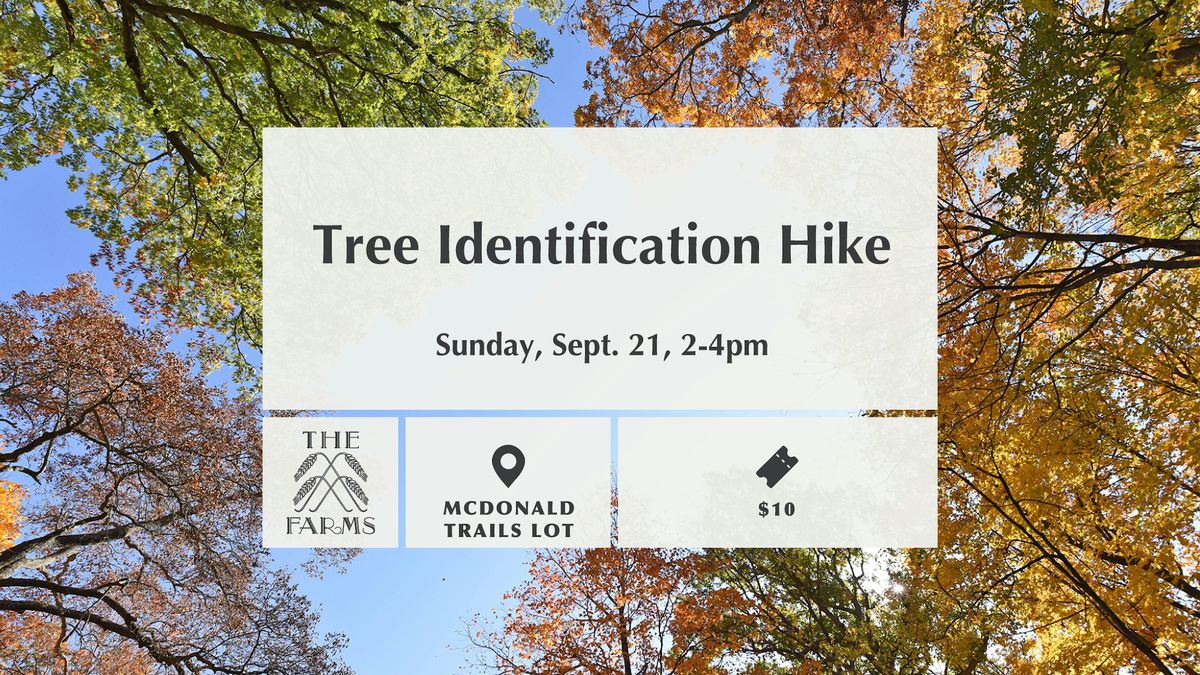 Tree Identification Hike