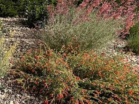 Fall Pollinator Garden Class at the Lima Plaza Pollinator Garden 9\/15\/2025