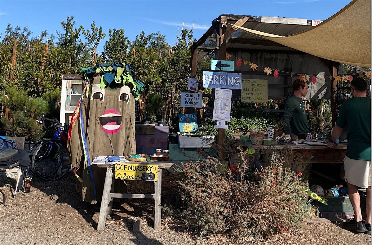 Fall Fest at the Nursery