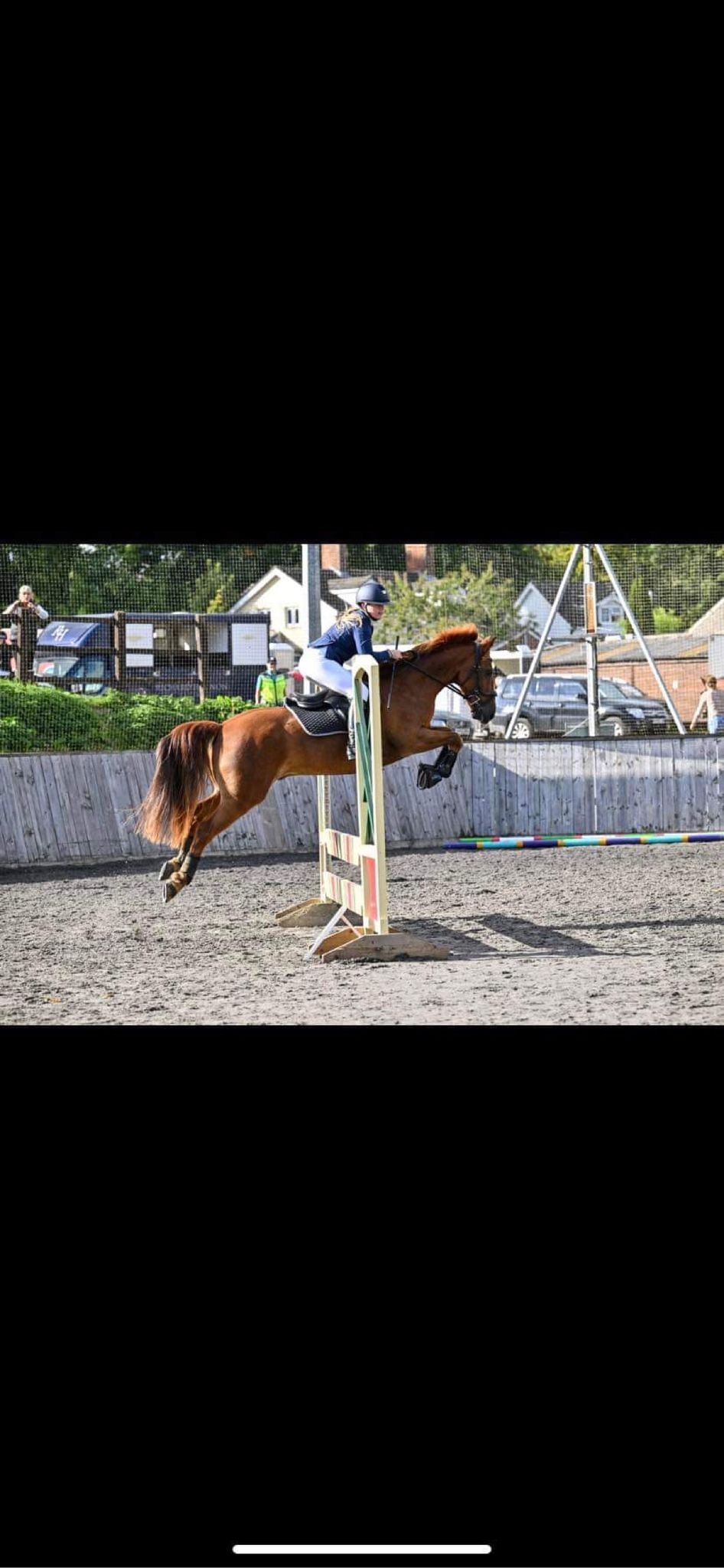 Unaffiliated Showjumping