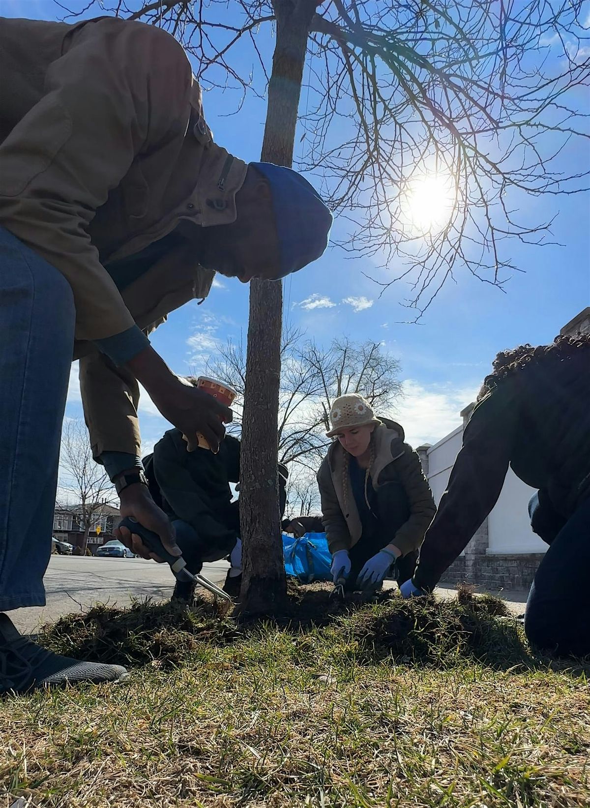 Gerritsen Beach Street Tree Care
