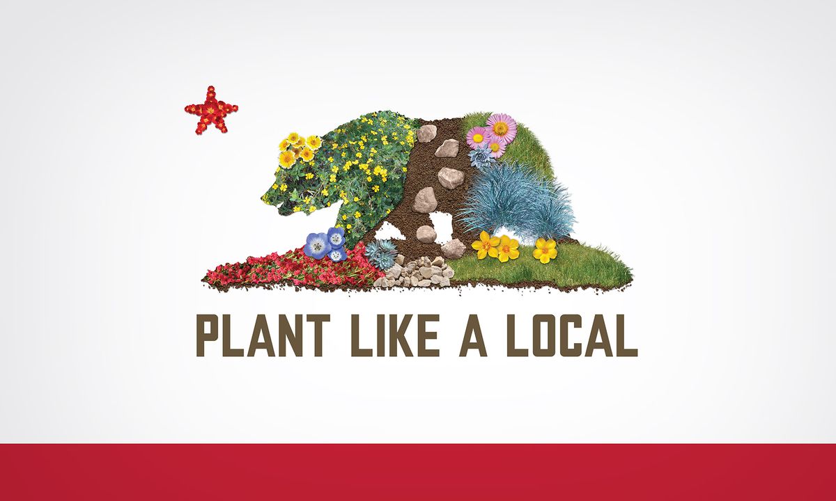Plant Like a Local Workshop