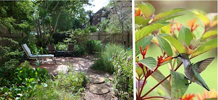 Water Wise Workshop: Go Wild with your Florida-Friendly Landscape Design